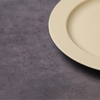 Mino Ware Plate CR