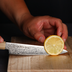 Seki Petty Knife SG2 Powdered High-Speed Steel, Ebony Octagonal Handle with White Buffalo Horn Ferrule, 150mm